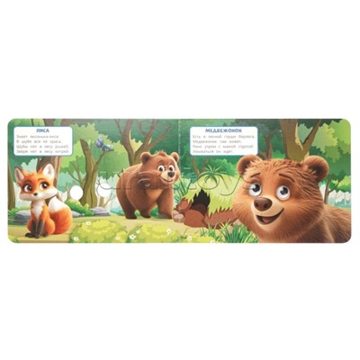 Животные леса. Степанов В.А. Забавные глазки