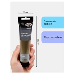 Акриловая краска 110 мл "Студия" умбра натуральная, в тубе 2802110609 Гамма