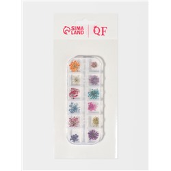 Сухоцветы для декора, 12 видов, в футляре, разноцветные