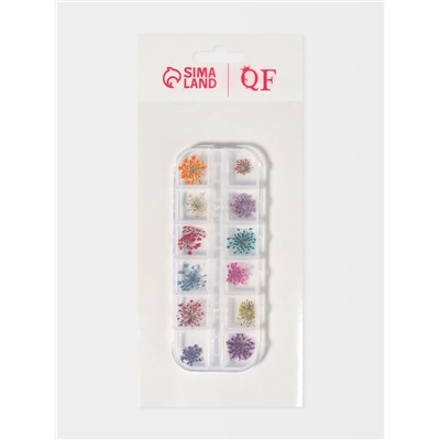 Сухоцветы для декора, 12 видов, в футляре, разноцветные