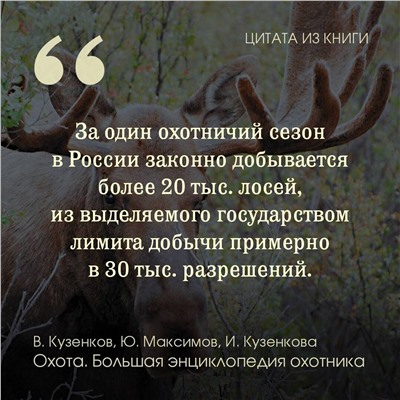АСТ Кузенков В.П., Максимов Ю.А. "Охота. Большая энциклопедия. 17 диких зверей"