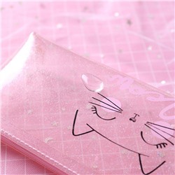 Пенал "Meow", арт.24.2607