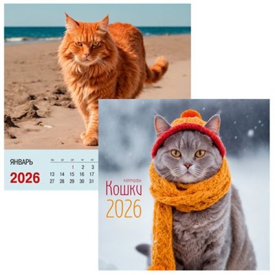 Календарь перекидной настенный на спирали 2026 г. 320х320 мм 6л "Кошки" КПКС2609 Эксмо