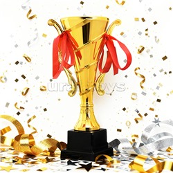 Кубок спортивный пластик (25 см)