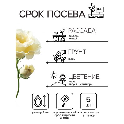 Семена  Эустома "Эйбиси" F1 зеленая крупноцветковая махровая, 5 шт