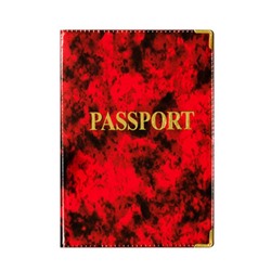 Обложка для паспорта #22595965