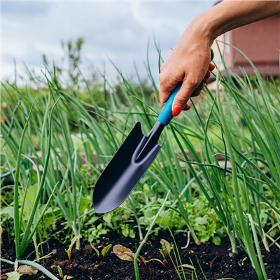 Совок посадочный Greengo, длина 30 см, ширина 5.5 см, пластиковая ручка