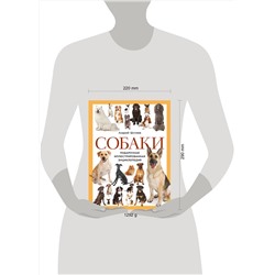 Эксмо Андрей Шкляев "Собаки. Подарочная иллюстрированная энциклопедия (новое оформление)"
