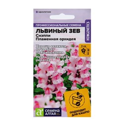 Семена цветов Львиный зев Снэппи "Пламенная орхидея", 7 шт
