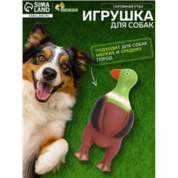 Игрушка пищащая «Скромная утка» для собак, 18×7×4 см, коричневая
