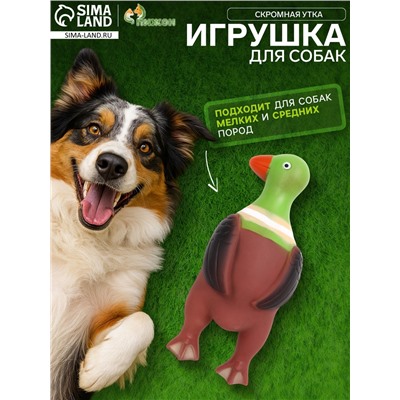 Игрушка пищащая «Скромная утка» для собак, 18×7×4 см, коричневая