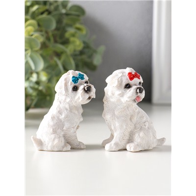 Сувенир полистоун "Белые терьеры с бантиками" набор 2 шт 3,7х5,2х6,2 см