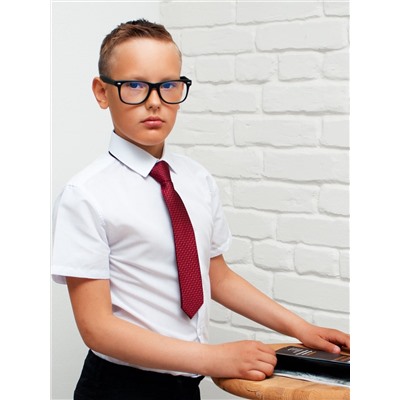 Соль&Перец Галстук SP301