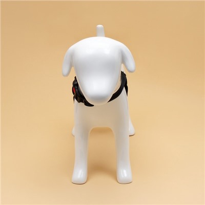 Шлейка К7 мягкая светоотражающая, размер S, ОГ 44-55 см, вес 5-9 кг, синяя