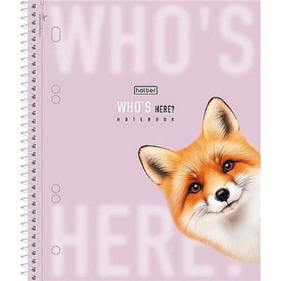Тетрадь 120л клетка на спирали 3 цв. разделителя "Кто здесь?" soft-touch (094226) 35698 Хатбер