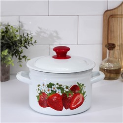 Кастрюля эмалированная, 5 л, деколь МИКС, белая