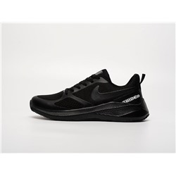 Кроссовки Nike Air Zoom Guide 10