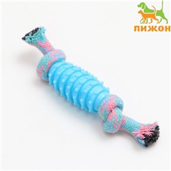 Игрушка жевательная «Элемент», 17×3.2 см, голубая/розовая