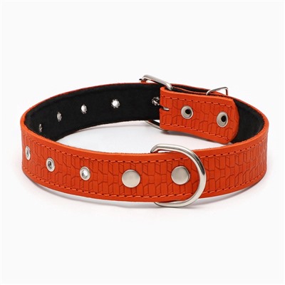 Ошейник кожаный тисненый на фетре, безразмерный, 67×3.5 см, ОШ 31-60 см, рыжий