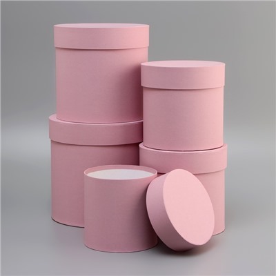 Набор круглых подарочных коробок 5 в 1 «Пыльная роза», 20×20×20 - 11×11×11 см см