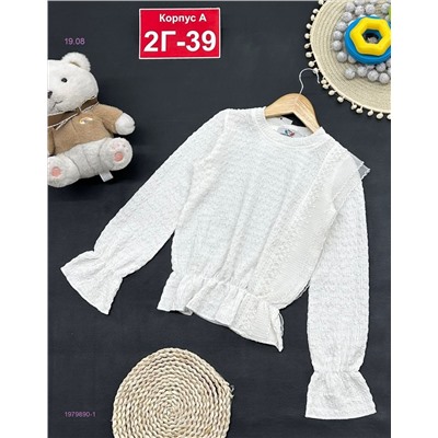 кофта 1979890-1