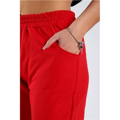 Брюки футер двухнитка с тонким начесом Арт. 1009 (Красный)