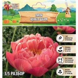 Пион "Coral Charm", р-р 3/5, 1 шт, Весна 2025
