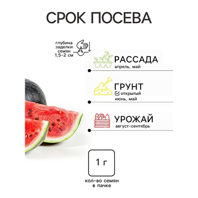 Семена Арбуз «Астраханский», 1 г, «Сембат»