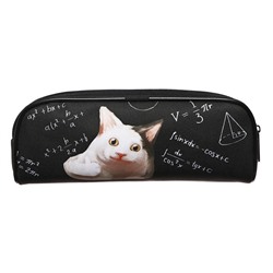 Пенал школьный, текстиль, 8×21×4 см «Умный кот»