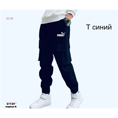 Штаны 1983932-5