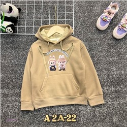 кофта с начесом 2058351-4