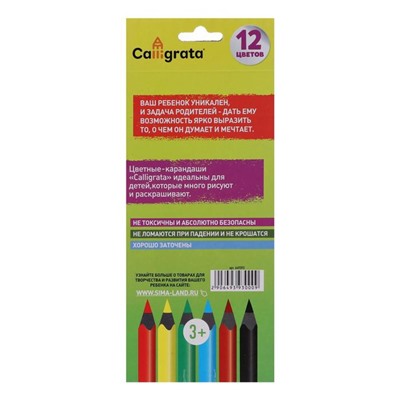Карандаши Calligrata цветные заточенные, 12 цветов, в картонной коробке
