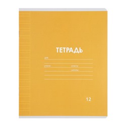 Набор тетрадей 12 листов в узкую линейку Calligrata «Однотонная Классика», обложка мелованная бумага, серые листы