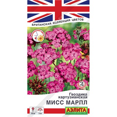 1397A Гвоздика картузианская Мисс Марпл 0,05 г