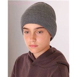 03-G Шапка для мальчика флис (54-56)
