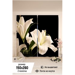 Фотошторы 10837 (Черный)