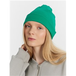 ШАПКА МОЛОДЕЖНАЯ 221001