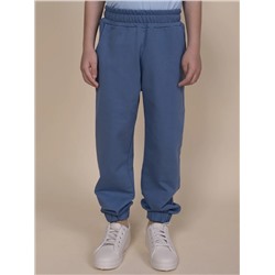 PELICAN Брюки BFPQ3321U