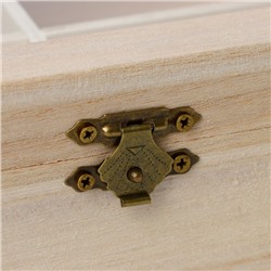 Ящик для хранения чайных пакетиков Доляна «Цейлон», 4 ячейки, 16×13.8×6.5 см