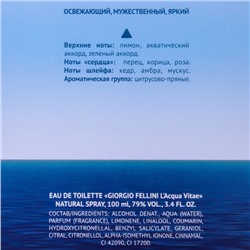 Туалетная вода мужская «Christine Lavoisier Parfums», «Giorgio Fellini L'Acqua Vitae», 100 мл