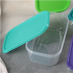 Набор пищевых контейнеров «Радуга», 5 шт.: 250 мл, 450 мл, 800 мл, 1.3 л, 2.1 л, прозрачный, крышки МИКС