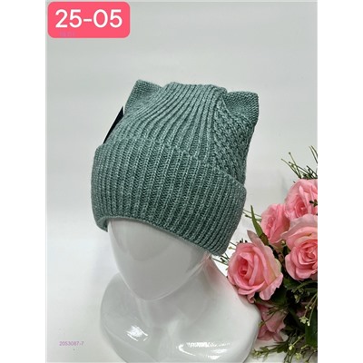 шапка 2053087-7