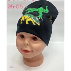 шапка 2054021-4