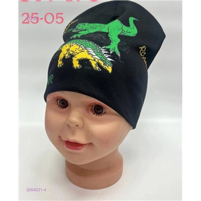 шапка 2054021-4