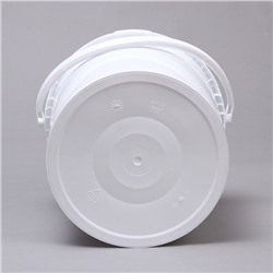 Бак-ведро пищевой «Для солений», 10.8 л, с герметичной крышкой