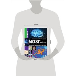 АСТ Джексон Том "Мозг. История, теории и практики"