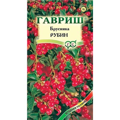 Брусника Рубин (Гавр)