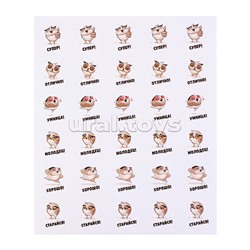 Набор наклеек оценок 5 дизайнов, 150 шт, в пластиковом пакете с блистерным подвесом