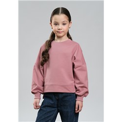 Алексис, Свитшот