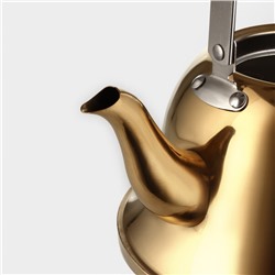 Чайник «Голд», 2 л, 23×19×20 см, нержавеющая сталь, золотистый